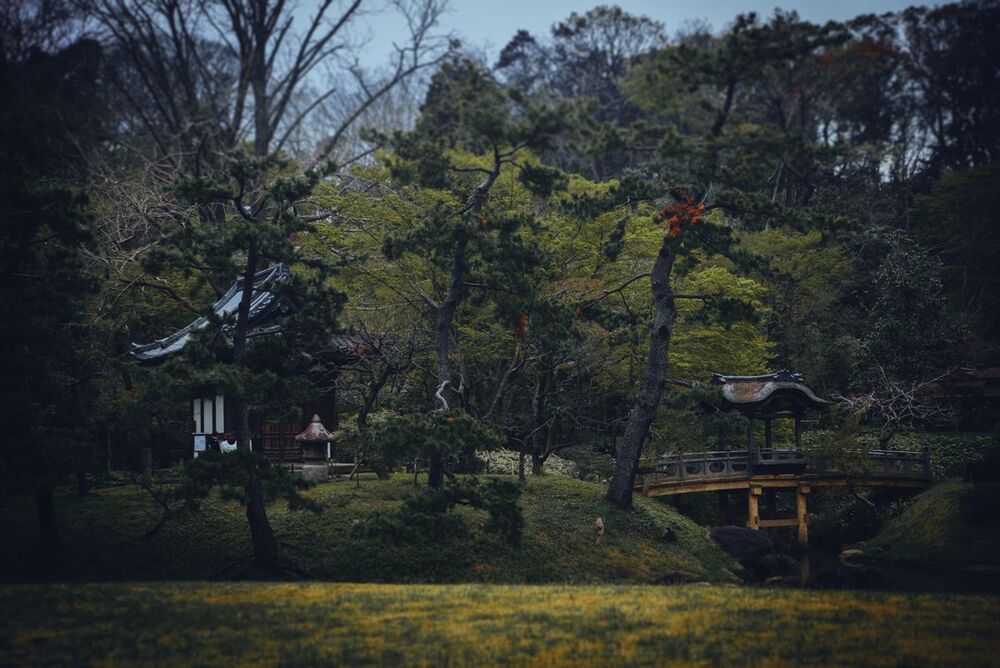 Japanese Garden
