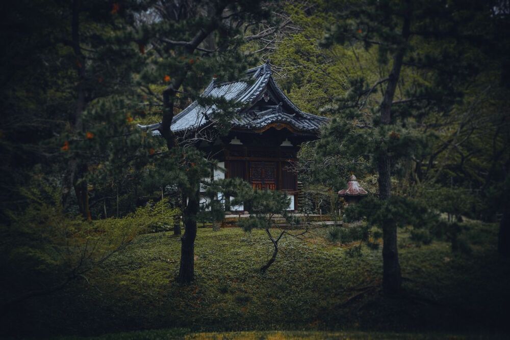 Japanese Garden