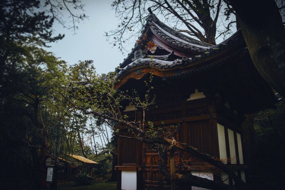 Japanese Garden