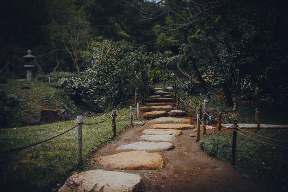 Japanese Garden