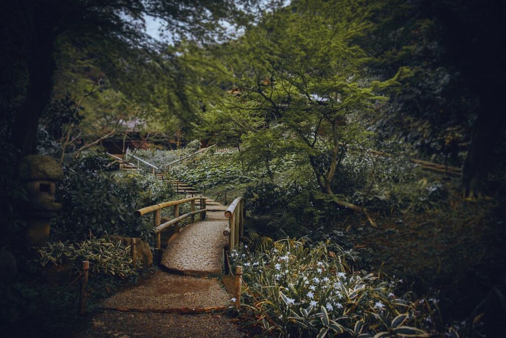 Japanese Garden