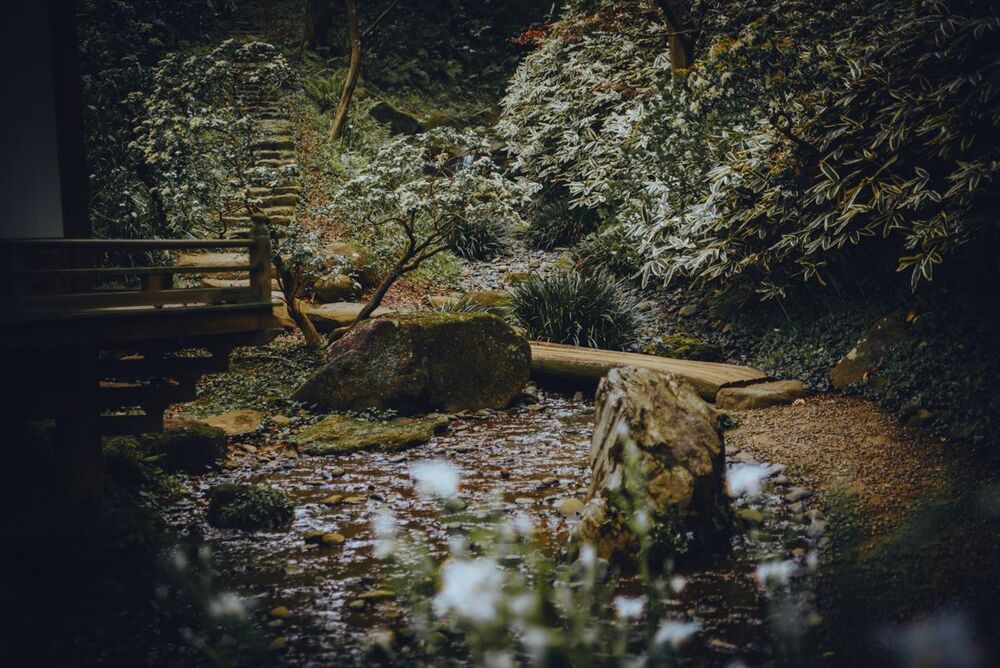 Japanese Garden
