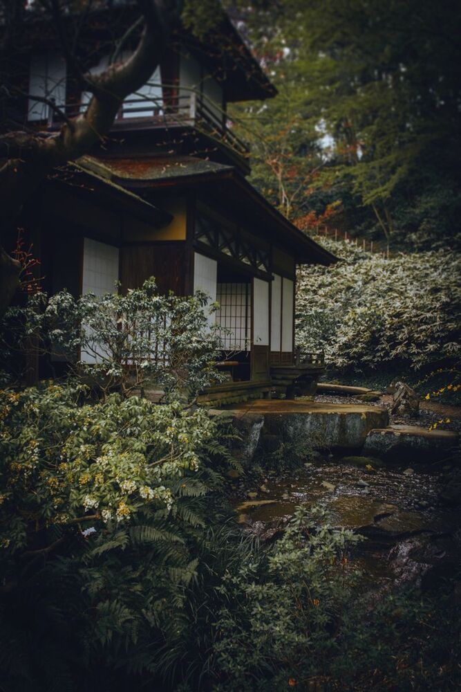 Japanese Garden