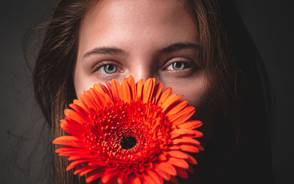 Gerbera