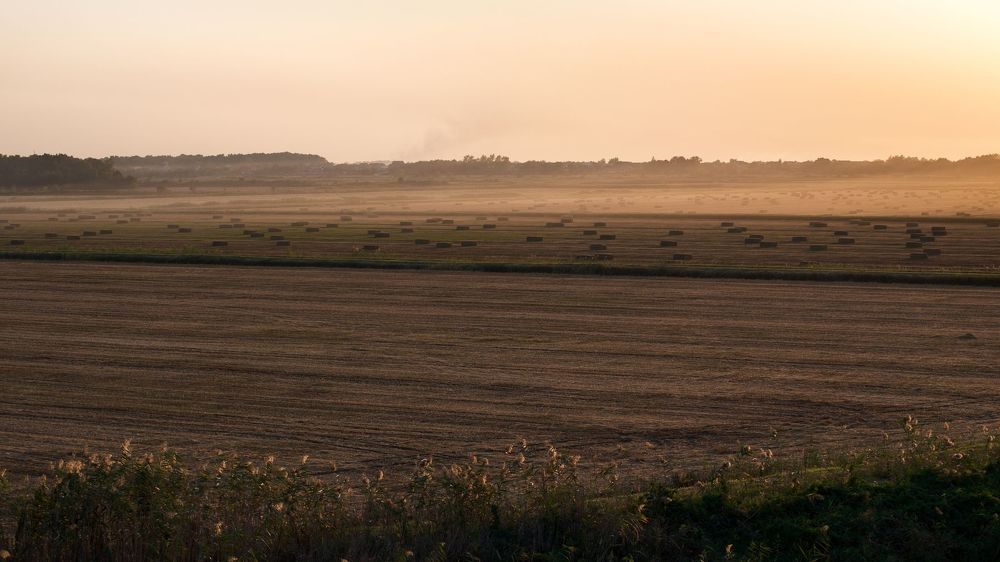 планы
