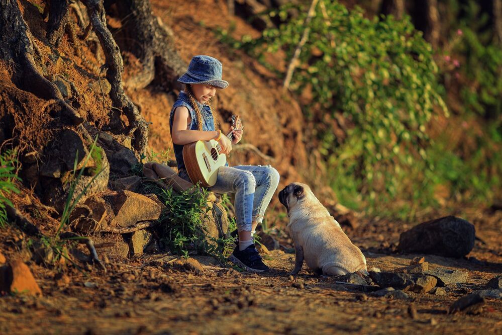 The story of the ukulele