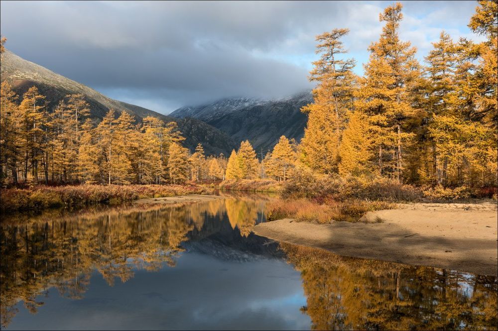 Осень с седыми оттенками