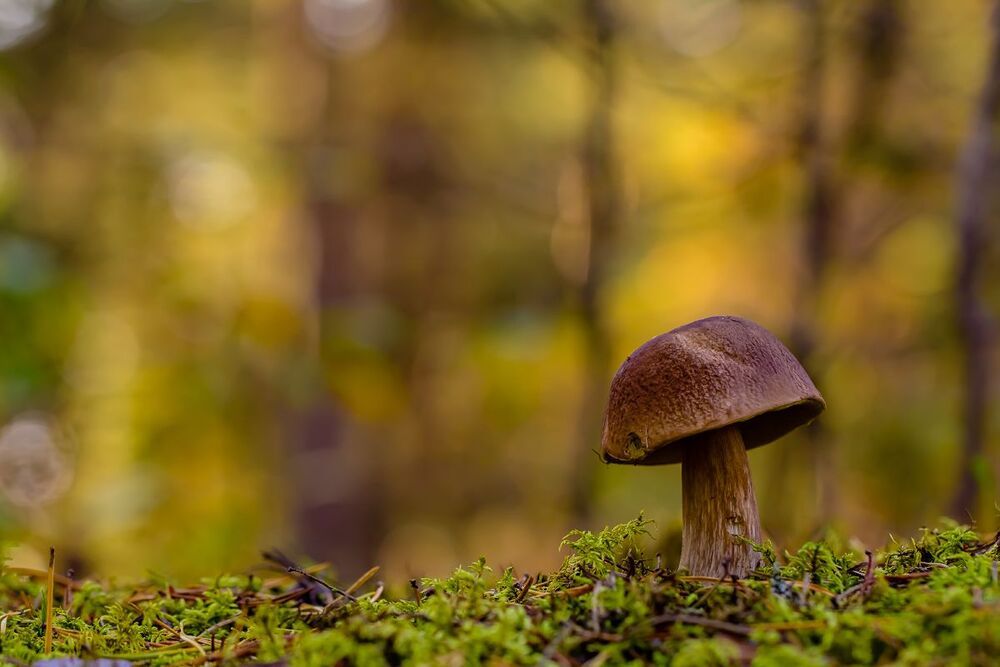 .....
