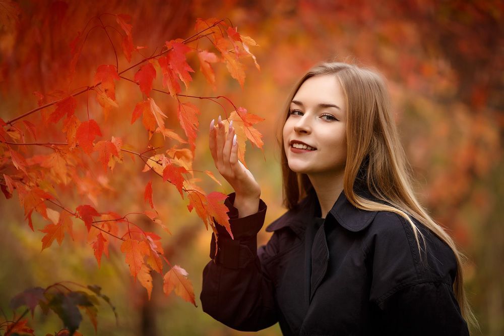 Аллея китайского клёна