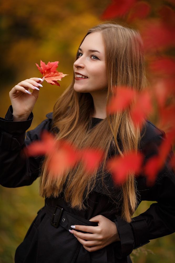 Аллея китайского клёна