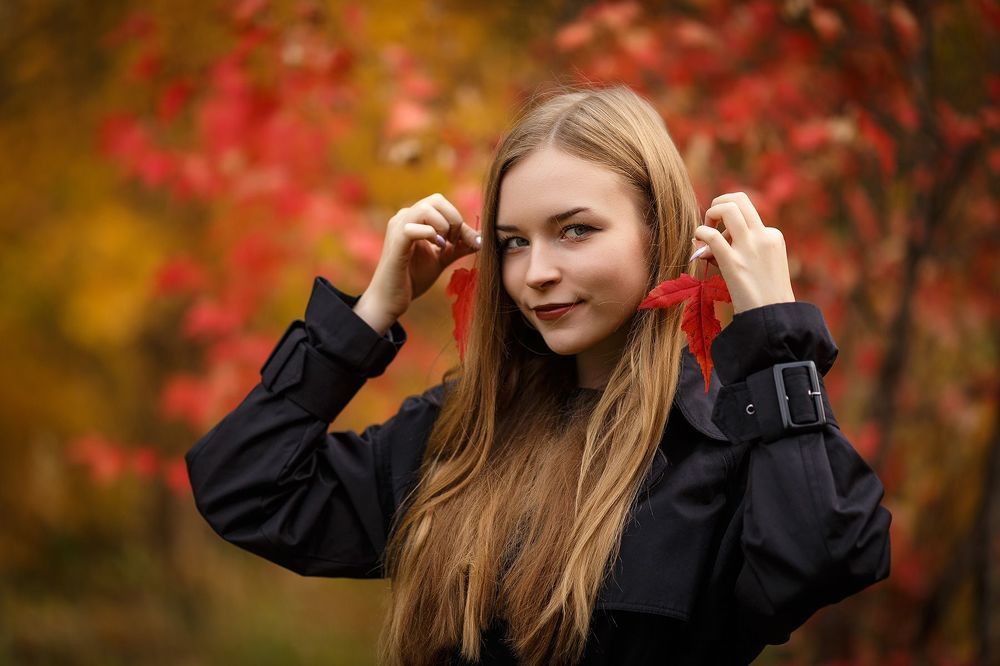 Аллея китайского клёна