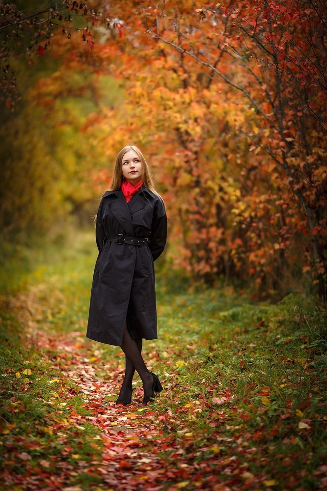 Аллея китайского клёна