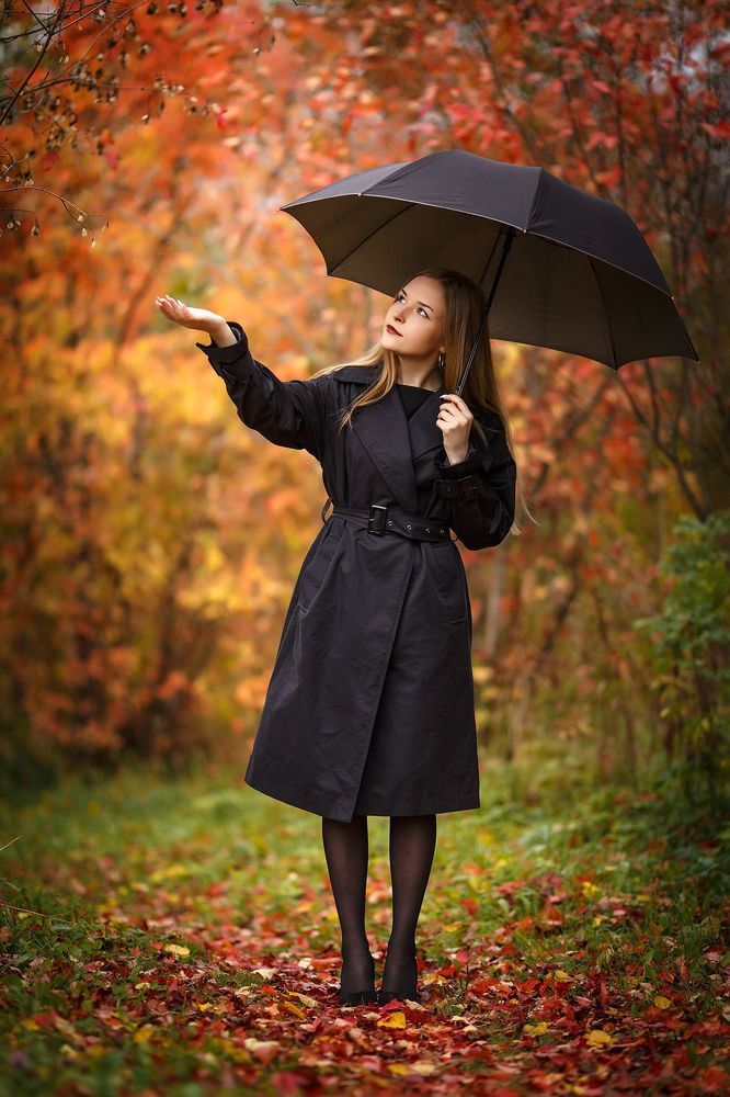Аллея китайского клёна