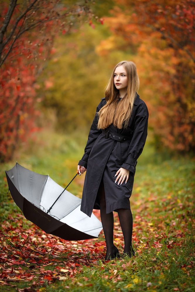 Аллея китайского клёна