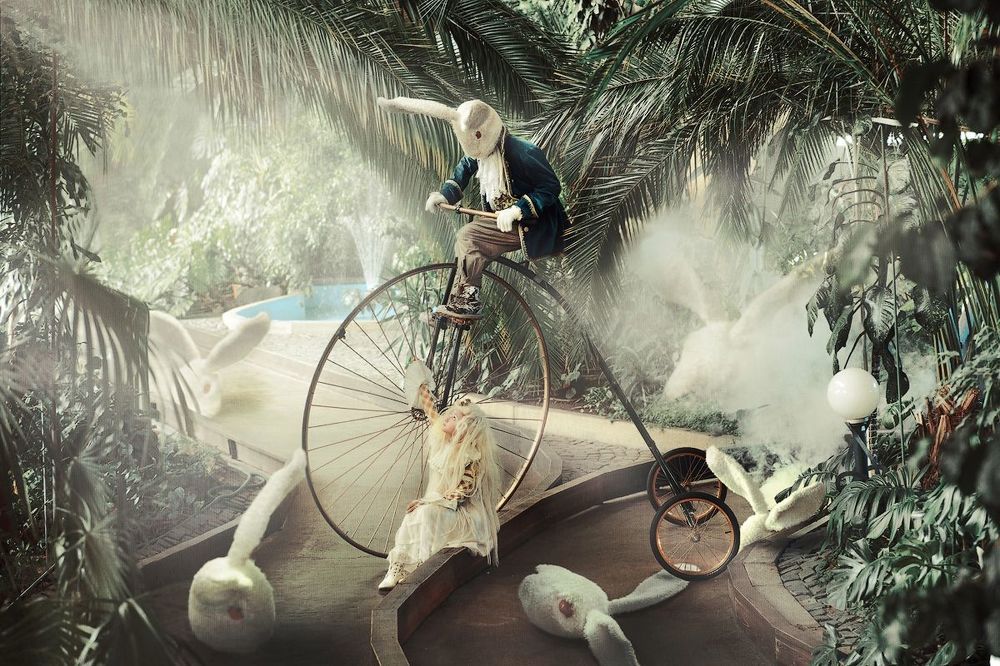 "Are you this rabbit?"  MD:[id11289435|Надежда Харченко]  Реквизит/съемочная площадка:  [club49326393|STUDIYA 33 Театр Высоких Импровизаций]  За репост отдельное спасибо.