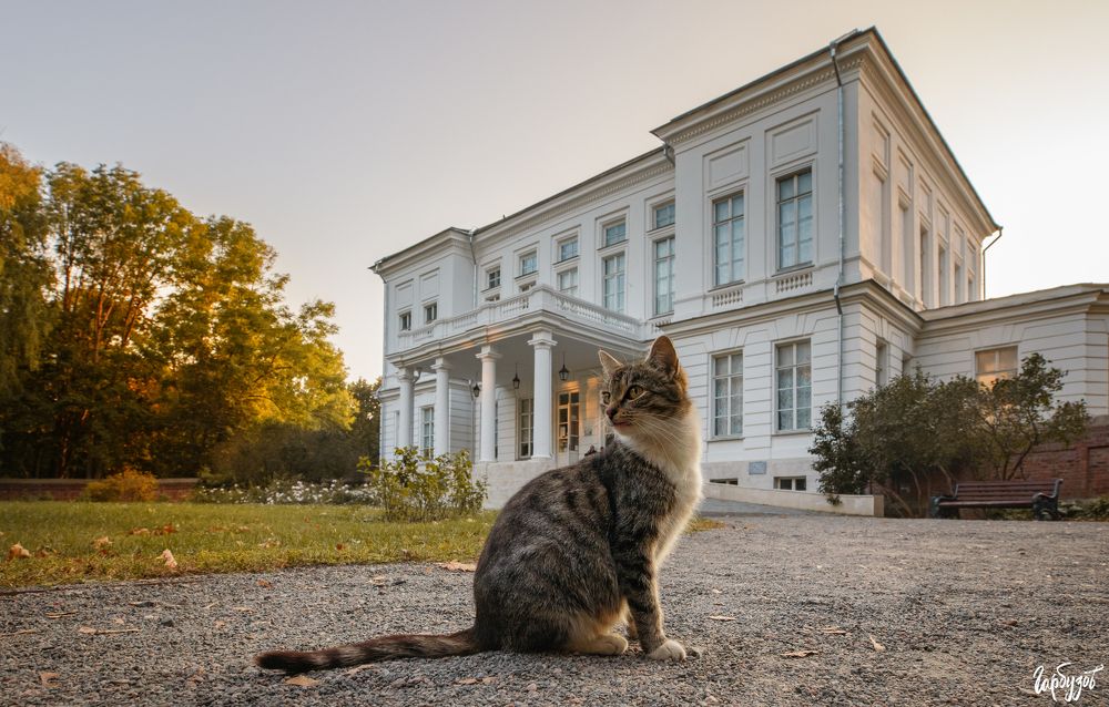 Осенний Богородицк
