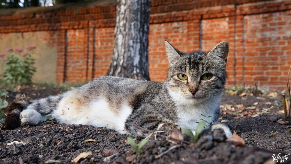 Осенний Богородицк