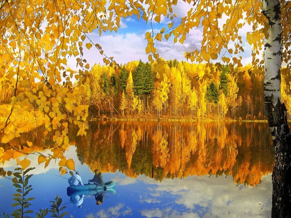 Распустила осень косы.