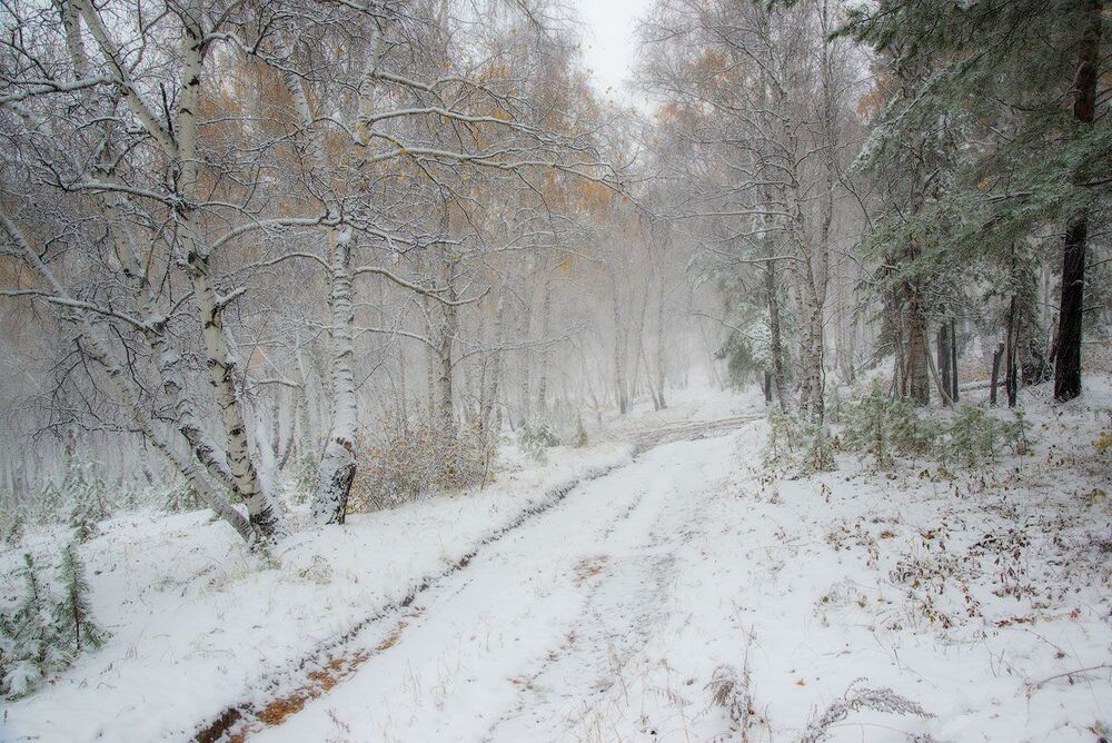 Первый снег