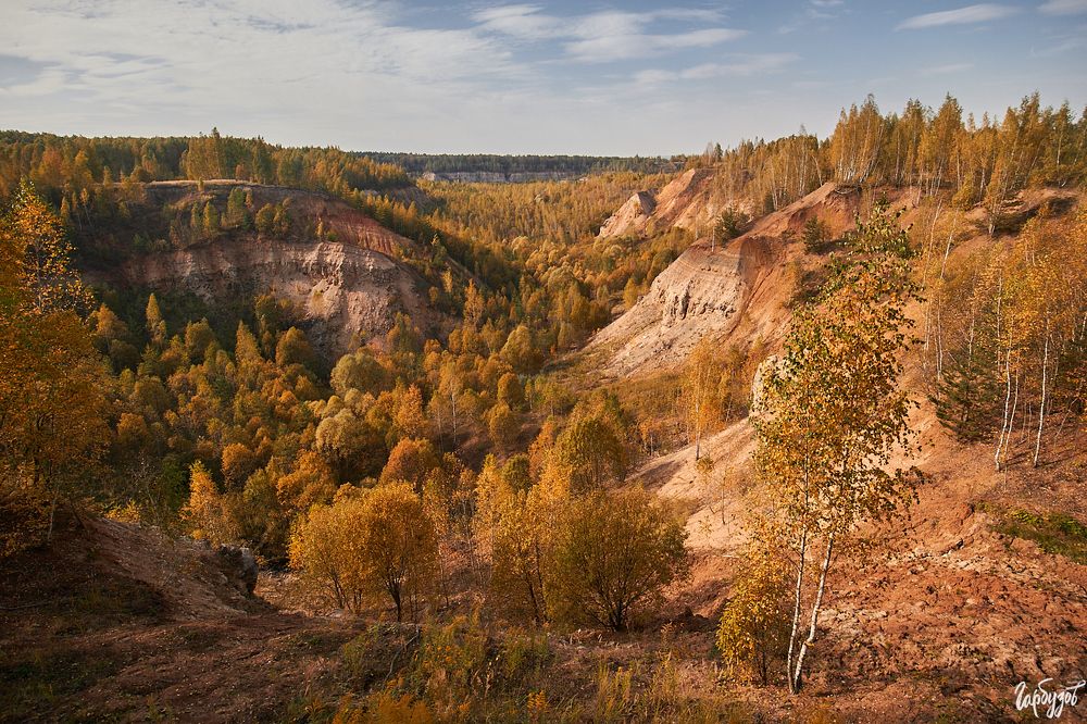 С места - в карьер. Рукотворная красота осени.