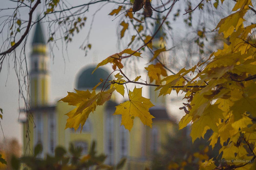 Осень в городе
