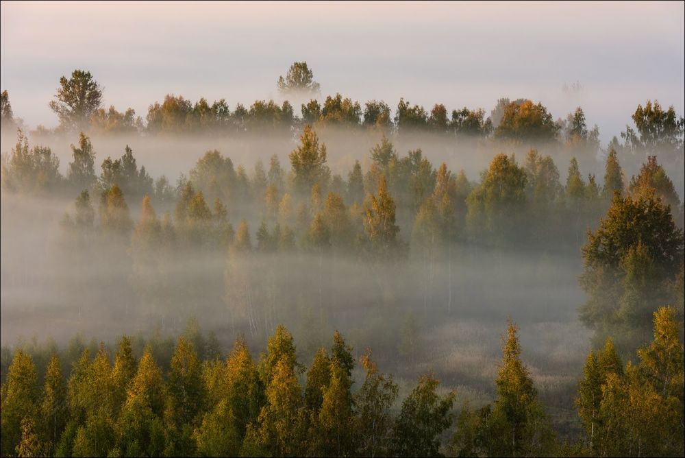 Пронизывает