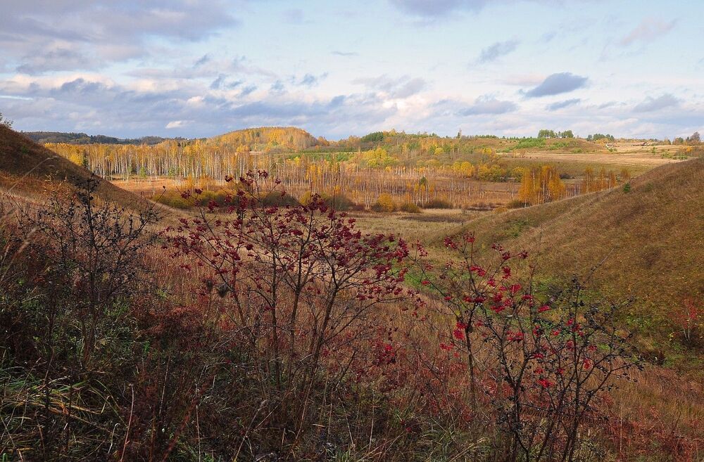 Россия.Псковская обл. Старый Изборск. Мальская долина. оз.Городищенское