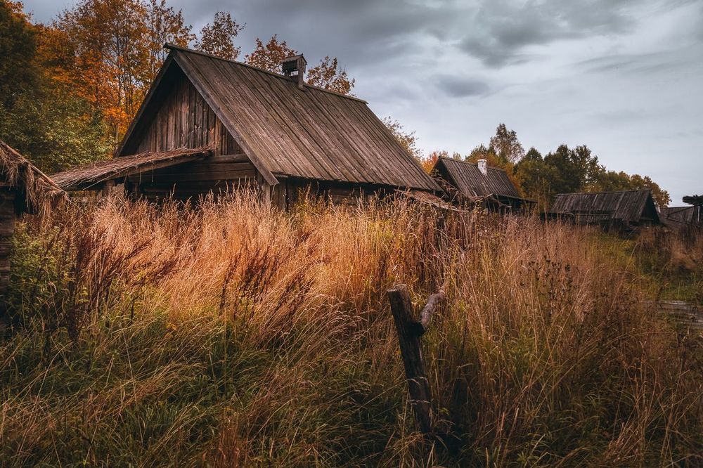 Урочище Лосковское, Новоржевский район. Путешествие в кинодеревню.