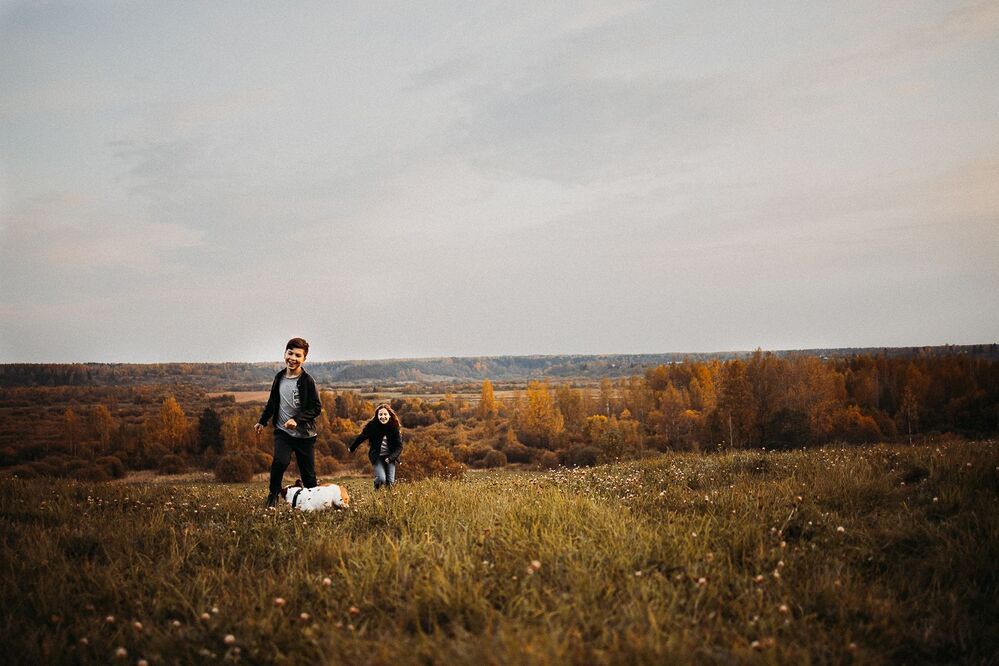 Photo 1784216