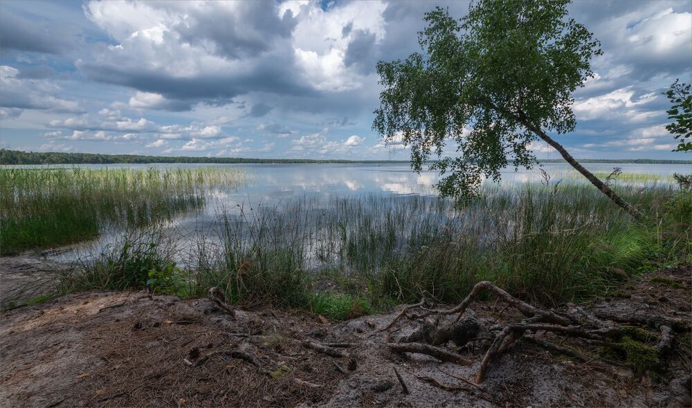 выходной на озере Биле