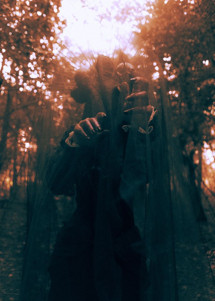 Photo 1785840