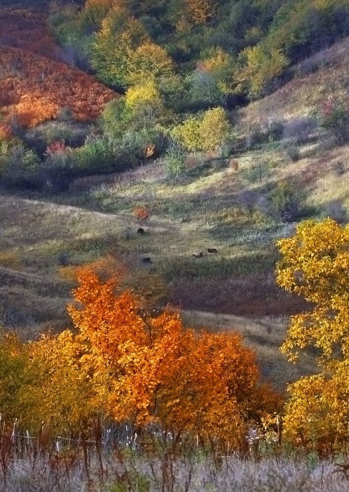Осень в горах..