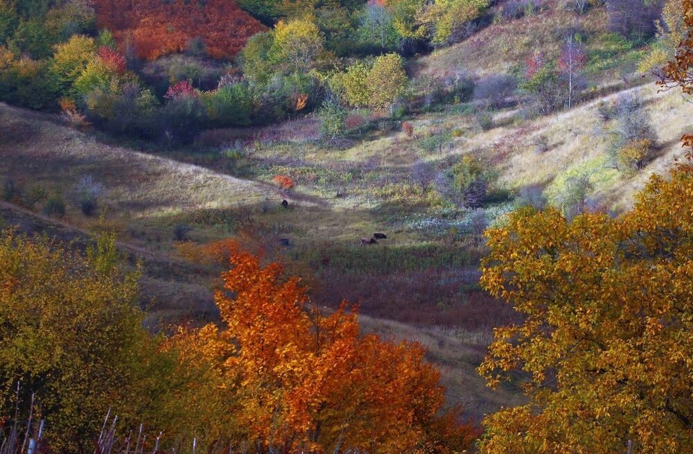 Осень в горах..