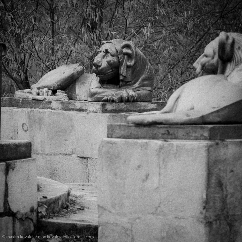 Львы на Львиной пристани / Lions at the  Lion's dock