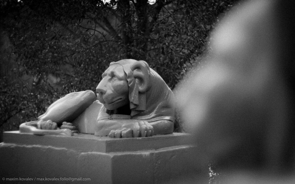 Львы на Львиной пристани / Lions at the  Lion's dock