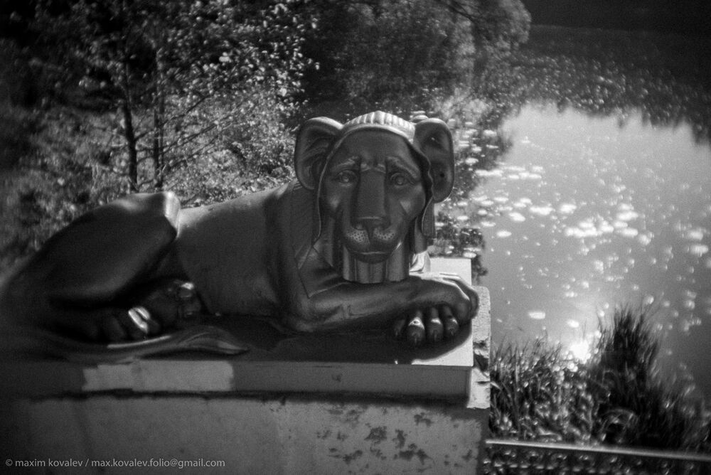Львы на Львиной пристани / Lions at the  Lion's dock