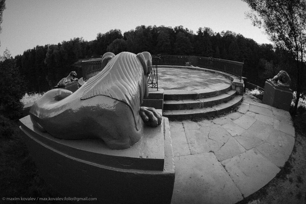Львы на Львиной пристани / Lions at the  Lion's dock