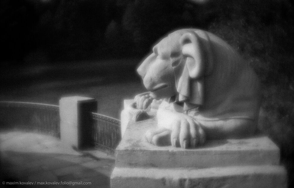 Львы на Львиной пристани / Lions at the  Lion's dock