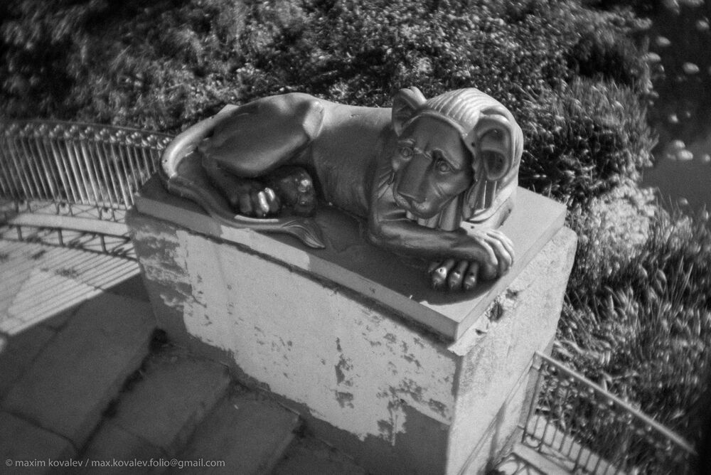 Львы на Львиной пристани / Lions at the  Lion's dock