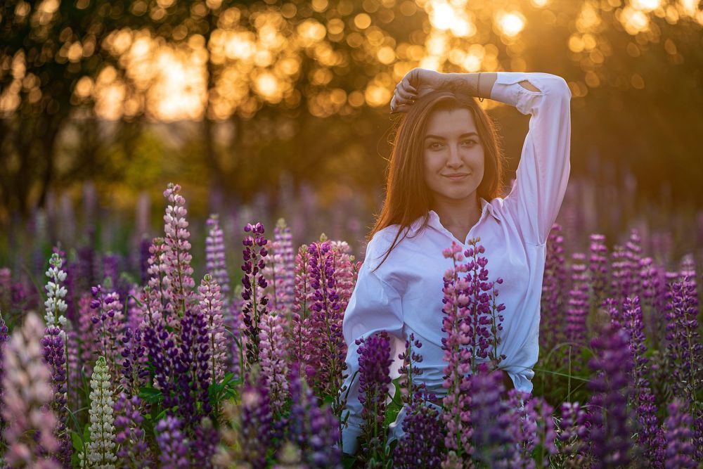 Люпины
