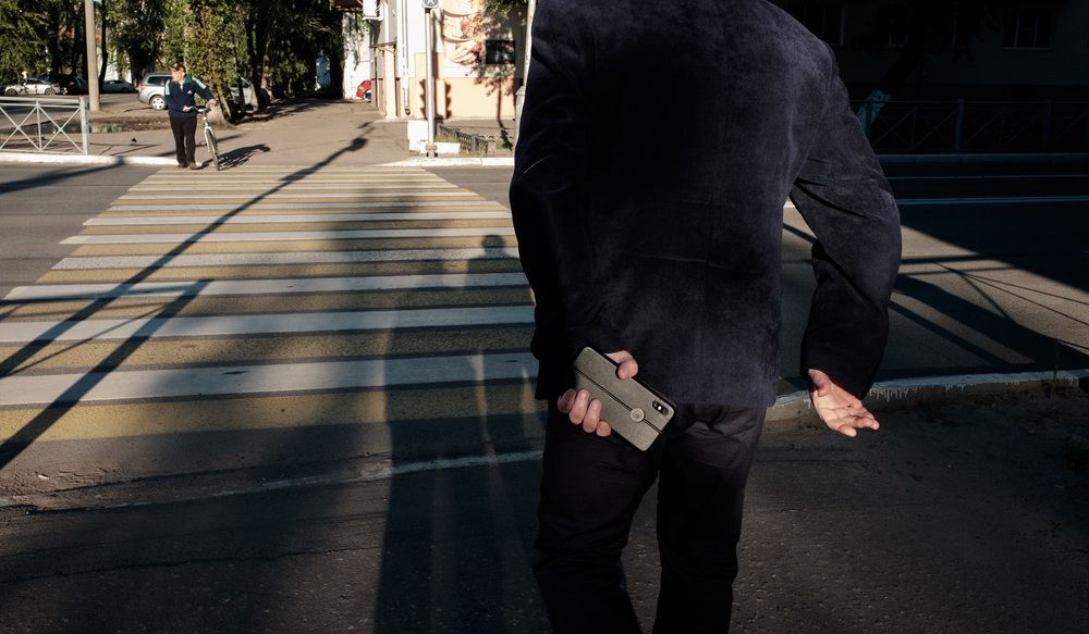 Зебра