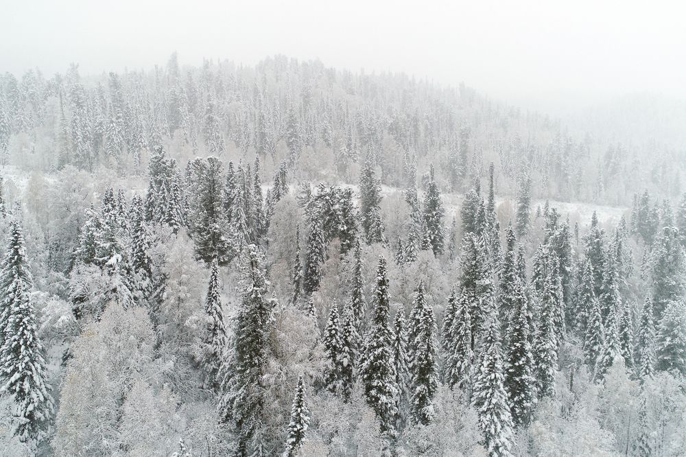 Зимние Ергаки