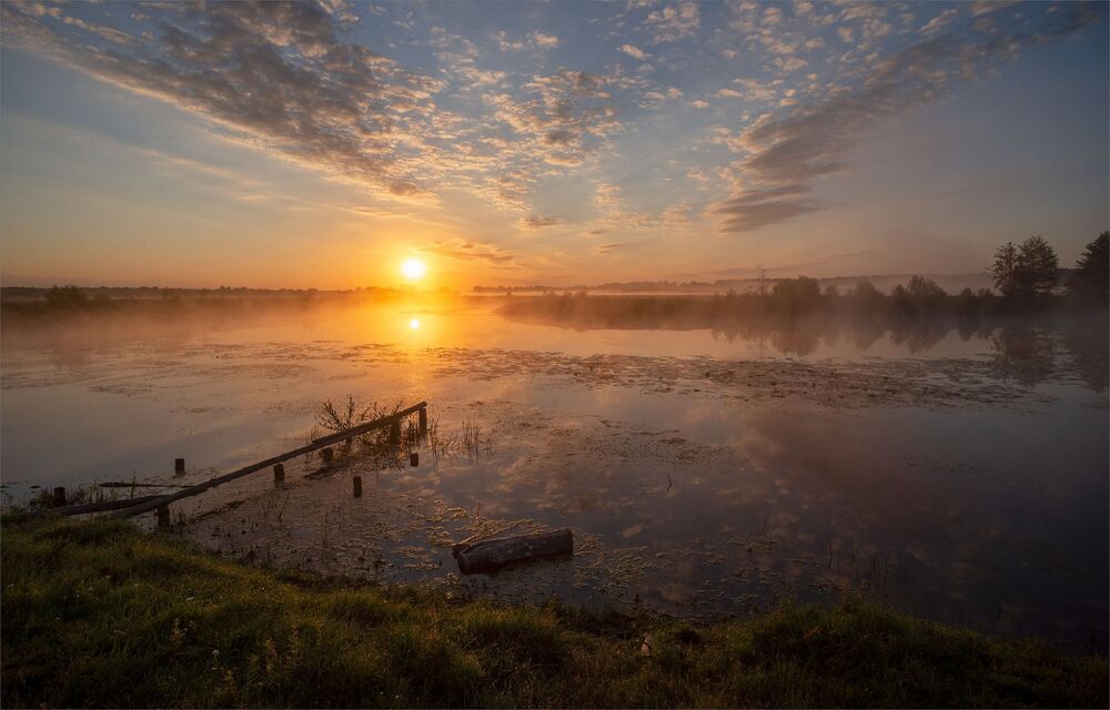 in the dawn rays...