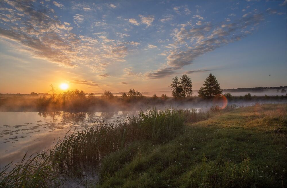 in the dawn rays...