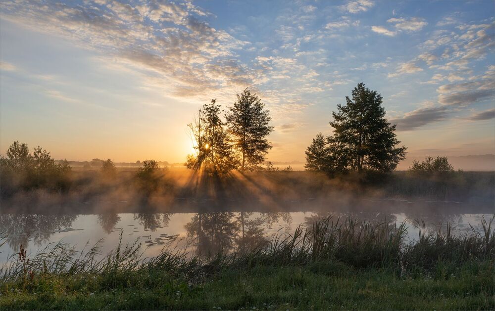 in the dawn rays...