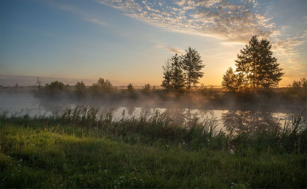in the dawn rays...