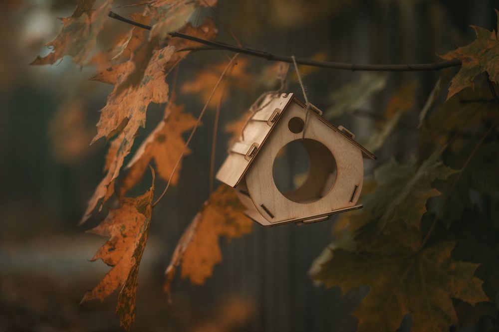 Кормушка