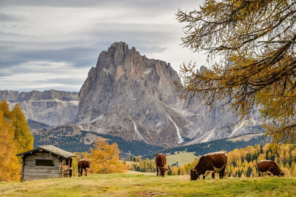 Пейзажи Alpe di Suisu