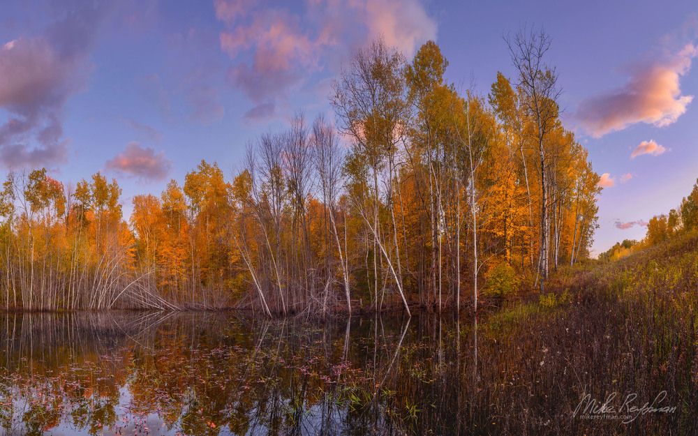 Осень на Болоте