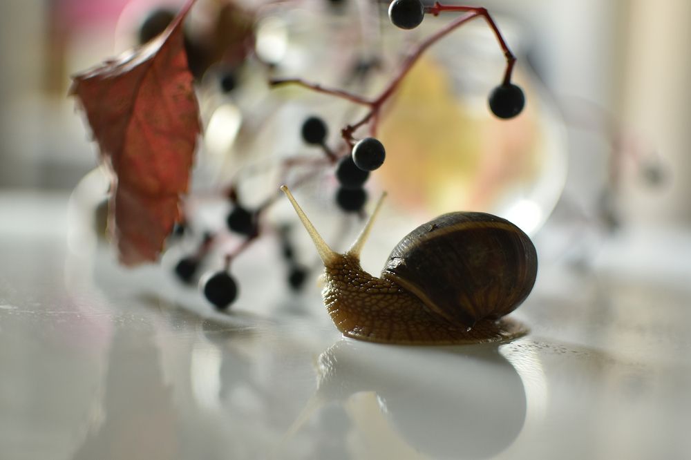 Я тоже хочу!